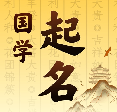 秀峰国学起名 人工起名一对一